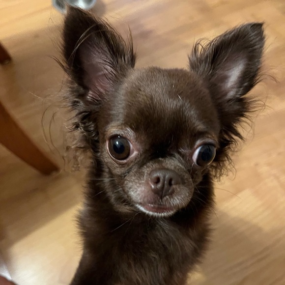 KMSCTE - Picture 10 of 14